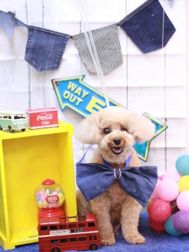 20230421クッキーくん